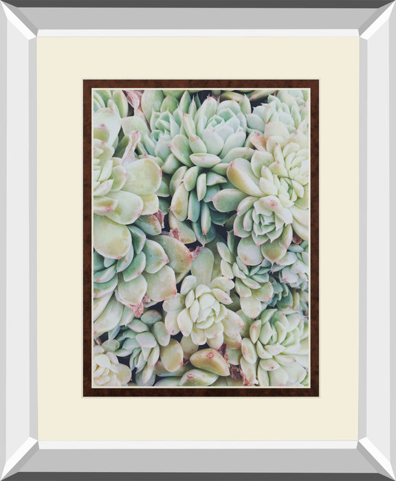 Translucent Succulents By Chelsea Kedron Mirrored Frame - Green