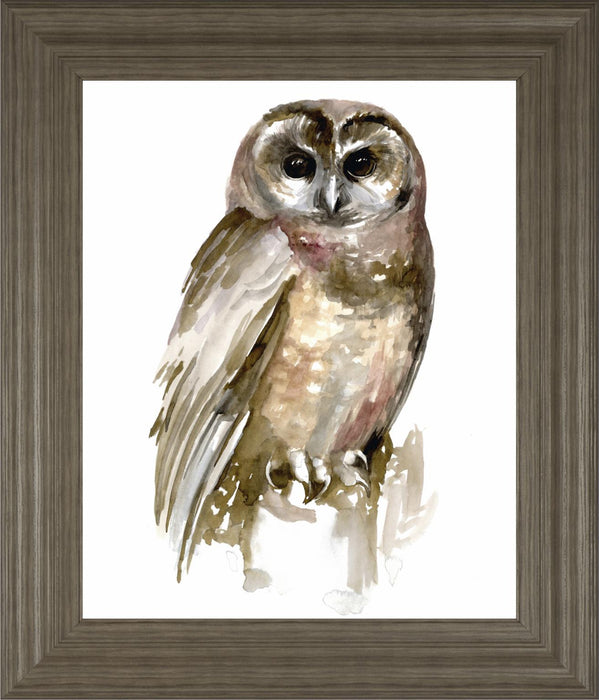 22x26 Watercolor Owl II By Jennifer Paxton Parker - Dark Gray