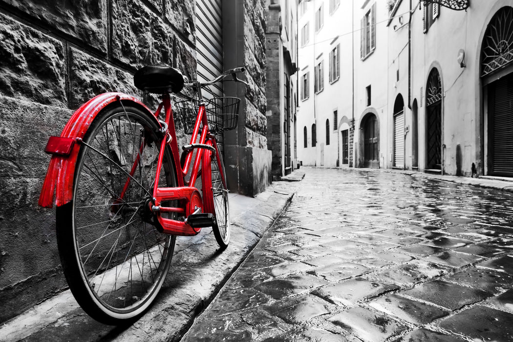 Framed Small - Red Bicycle - Dark Gray