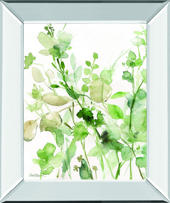 Sage Garden II By Carol Robinson - Mirror Framed Print Wall Art - Green