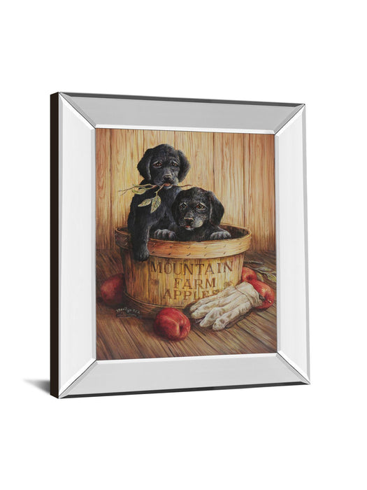 Black Labs - Mirror Framed Print Wall Art - Dark Brown