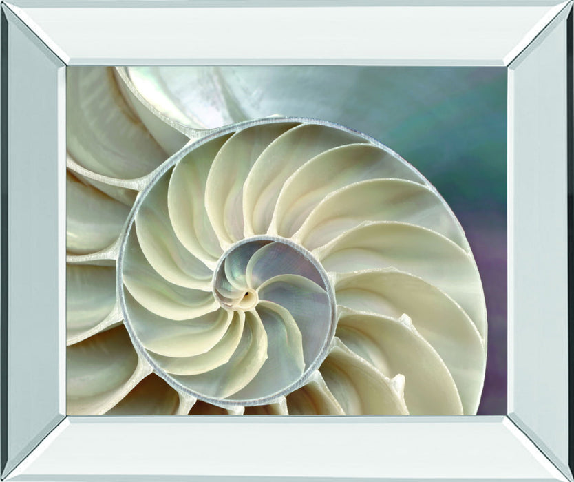 Nautilus By Levine, A. - Mirror Framed Print Wall Art - Beige