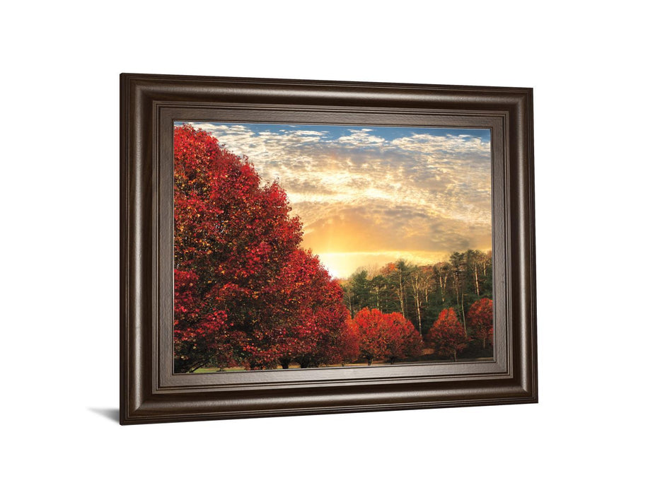 Crimson Tress By Celebrate Life Gallery - Framed Print Wall Art - Red