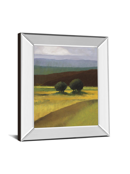 Field Of Light By Judith D'agostino - Mirror Framed Print Wall Art - Green