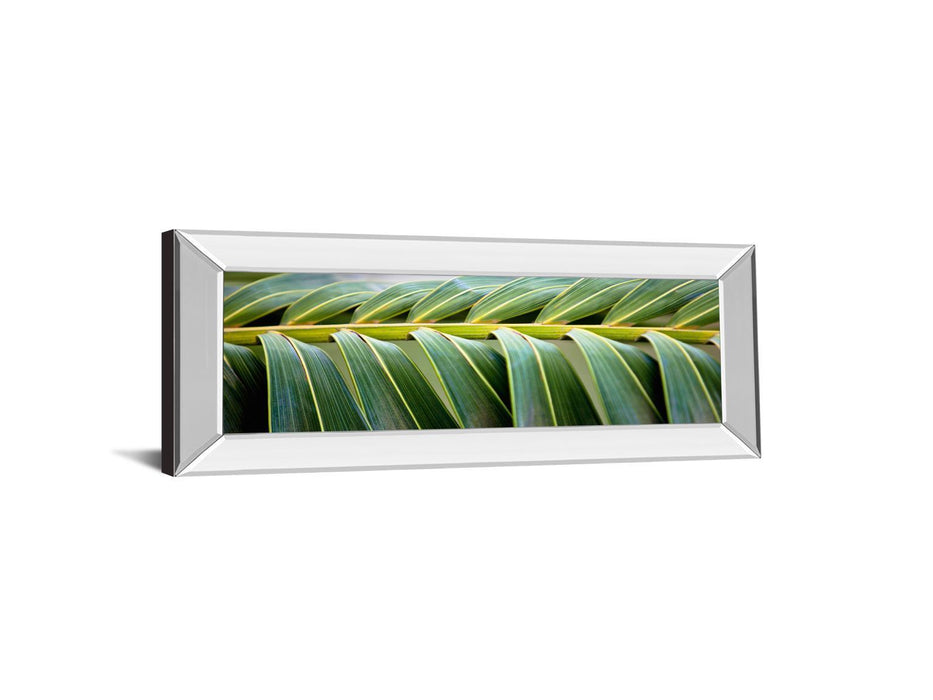 Palma I By Susan Bryant - Mirror Framed Print Wall Art - Green