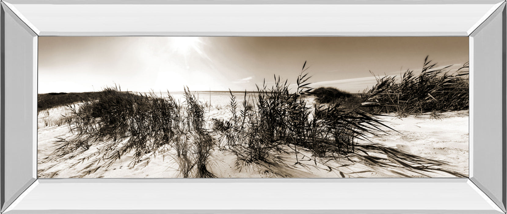 The Wind In The Dunes I By Noah Bay - Mirror Framed Print Wall Art - Gold