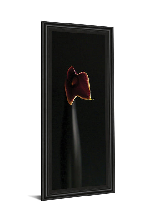 Calla In Ebony By Steven Mitchell - Framed Print Wall Art - Black
