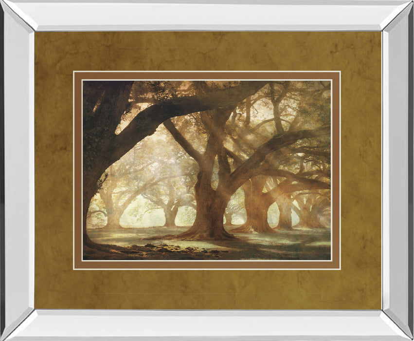 Oak Alley Morning Light By William Guion - Mirror Framed Print Wall Art - Dark Brown