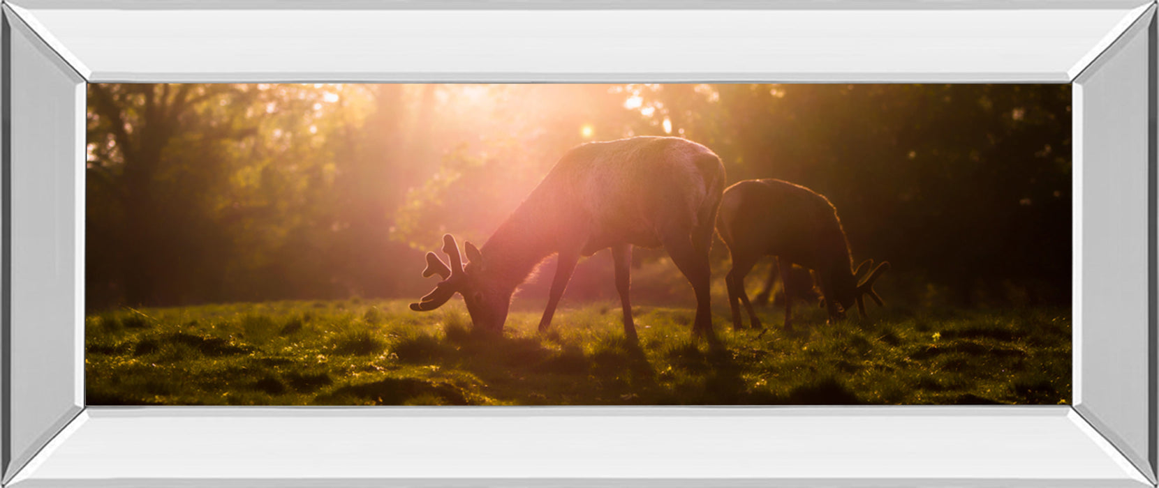 Morning Haze By Joe Reynolds - Photo Print Wall Art - Dark Brown