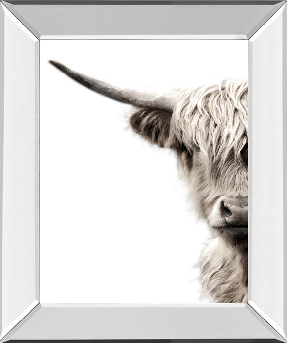 Highland Cattle By Danita Delimont - Dark Gray