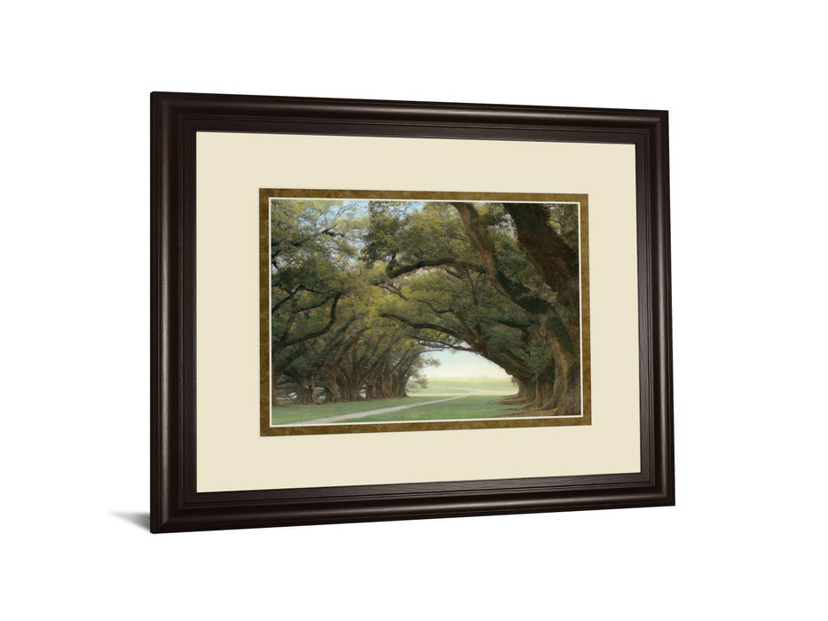 Alley Of The Oaks By William Guion - Framed Print Wall Art - Green
