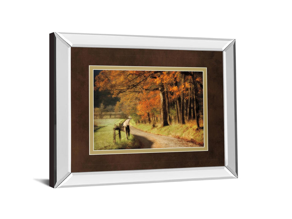 Autumns Morning Light By D. Burt - Mirror Framed Print Wall Art - Orange