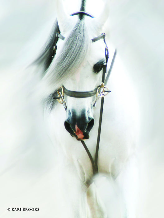 Dream Horse By Kari Brooks - Pearl Silver
