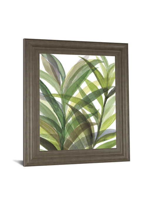 Tropical Greens Il By Rebecca Meyers - Framed Print Wall Art - Green