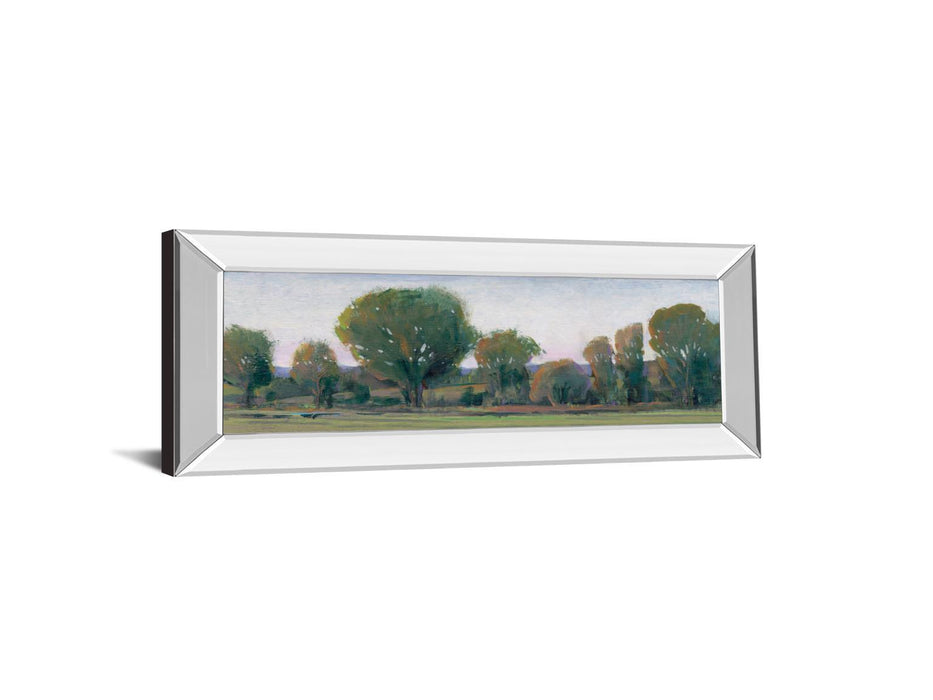 Panoramic Treeline Il By Tim Otoole - Mirror Framed Print Wall Art - Green