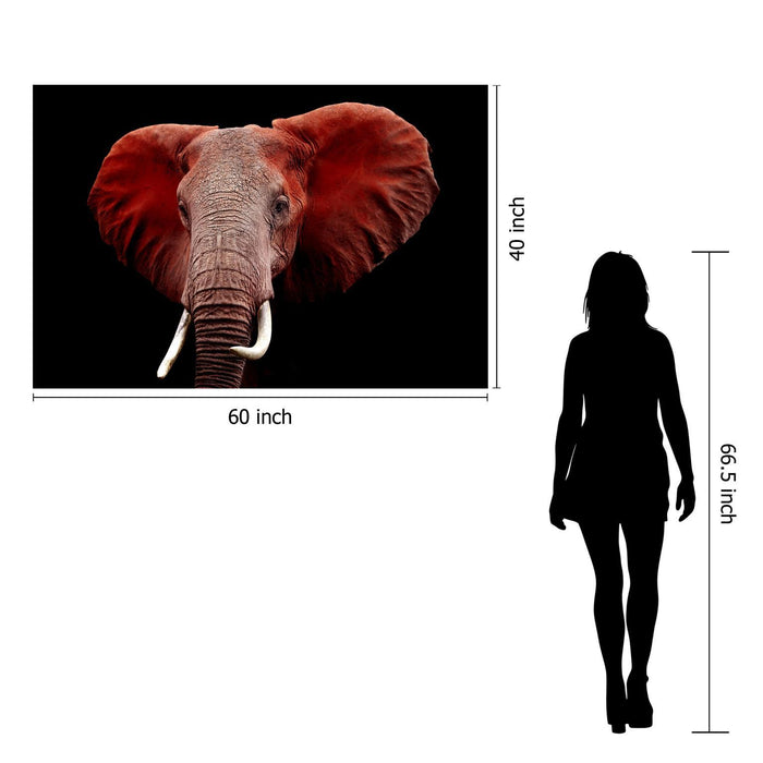 Tempered Glass Plus Foil Elephant - Red