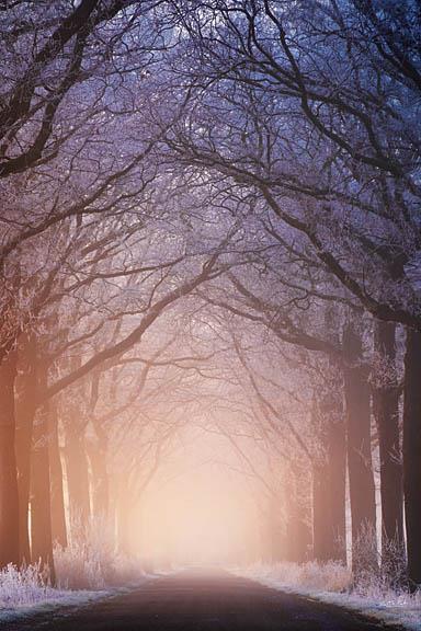 Warm And Cold By Martin Podt (Framed) - Blue