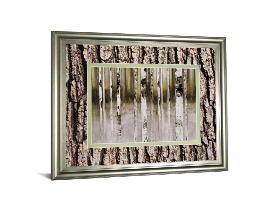 Fern Creek By Susan Jill Double Matted - Framed Wall Art - White