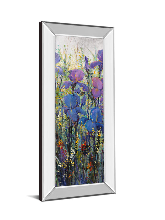 Iris Field Il By Tim Otoole - Mirror Framed Print Wall Art - Purple