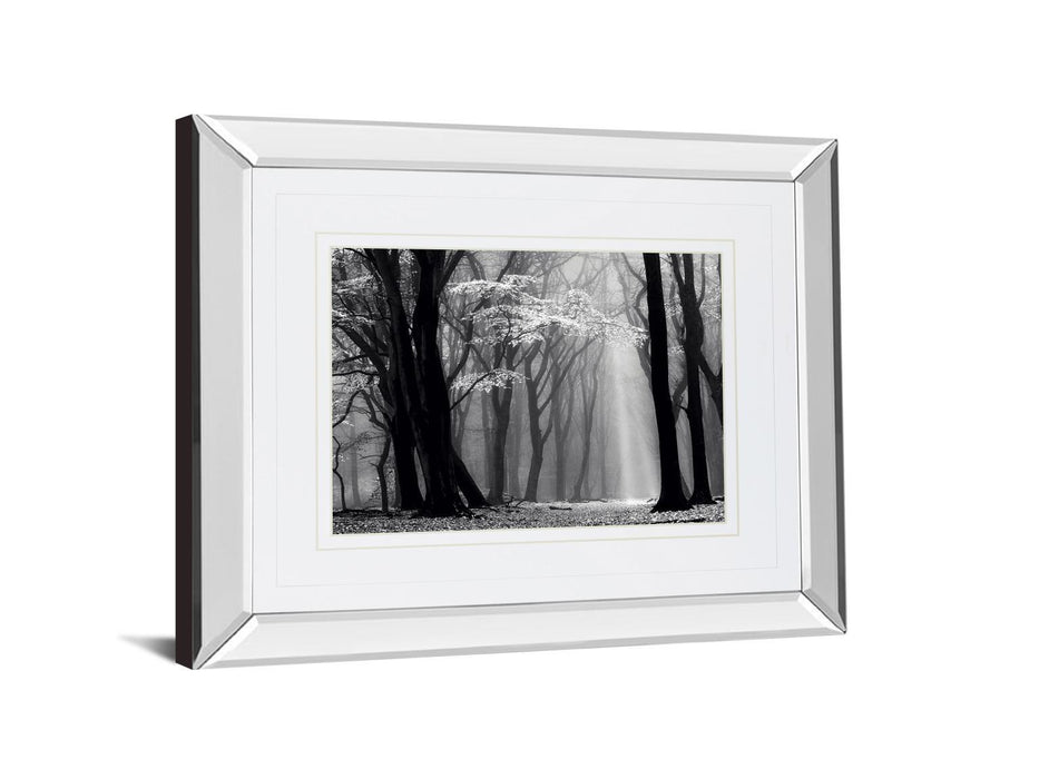 Winter Is Coming By Lars Van De Goor - Mirror Framed Print Wall Art - Black