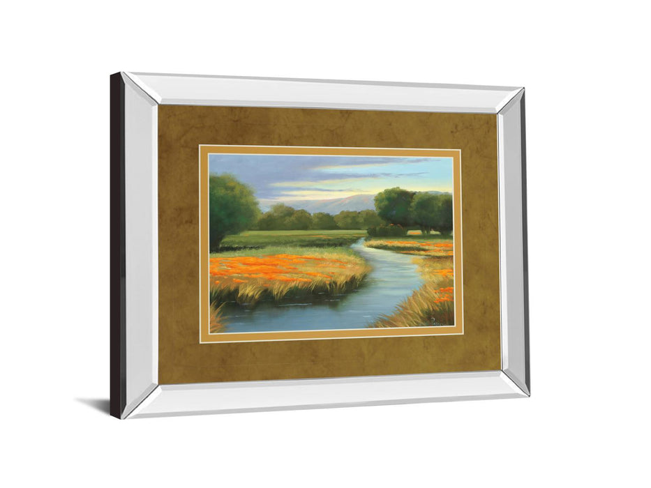 California Orange By Julie Peterson - Mirror Framed Print Wall Art - Gold