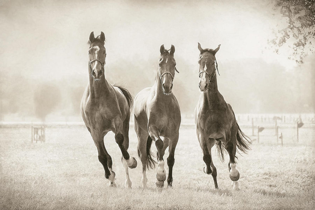 Small - The Young Ones By Lars Van De Goor - Pearl Silver