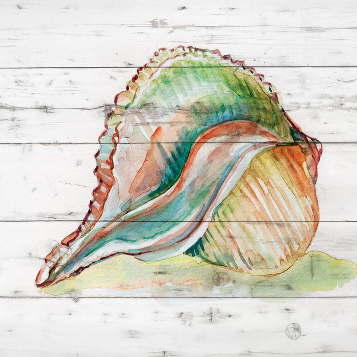 Framed Small - Tye Dyed Shell II By Carol Robinson - Green