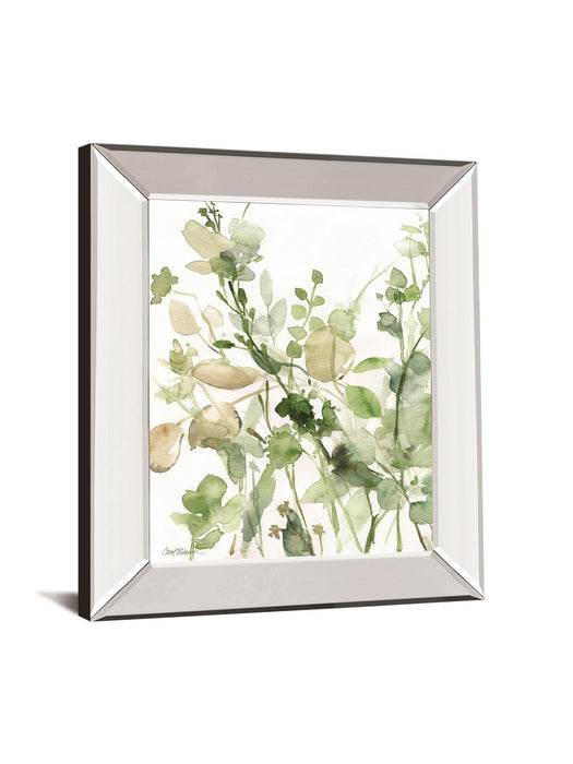 Sage Garden II By Carol Robinson - Mirror Framed Print Wall Art - Green