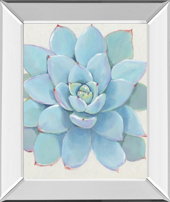 Pastel Succulent I By Tim OToole - Light Blue