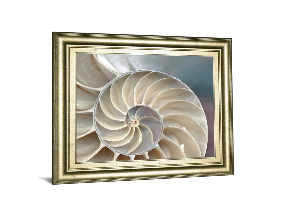 Nautilus By Levine, A. - Framed Print Wall Art - Pearl Silver