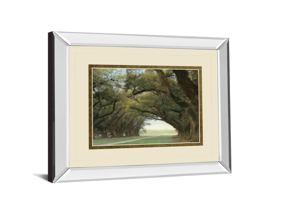 Alley Of The Oaks By William Guion - Mirror Framed Print Wall Art - Green